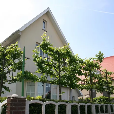 Vila In Near The *